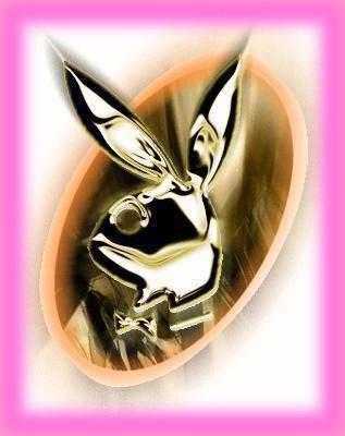 playboy